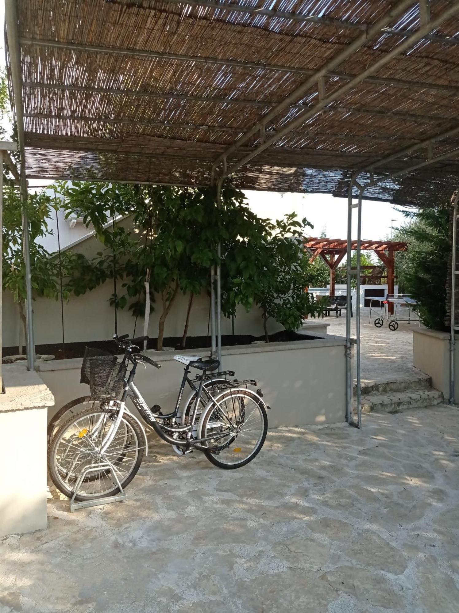 Villa Niko With Private Swimming Pool 자다르 외부 사진